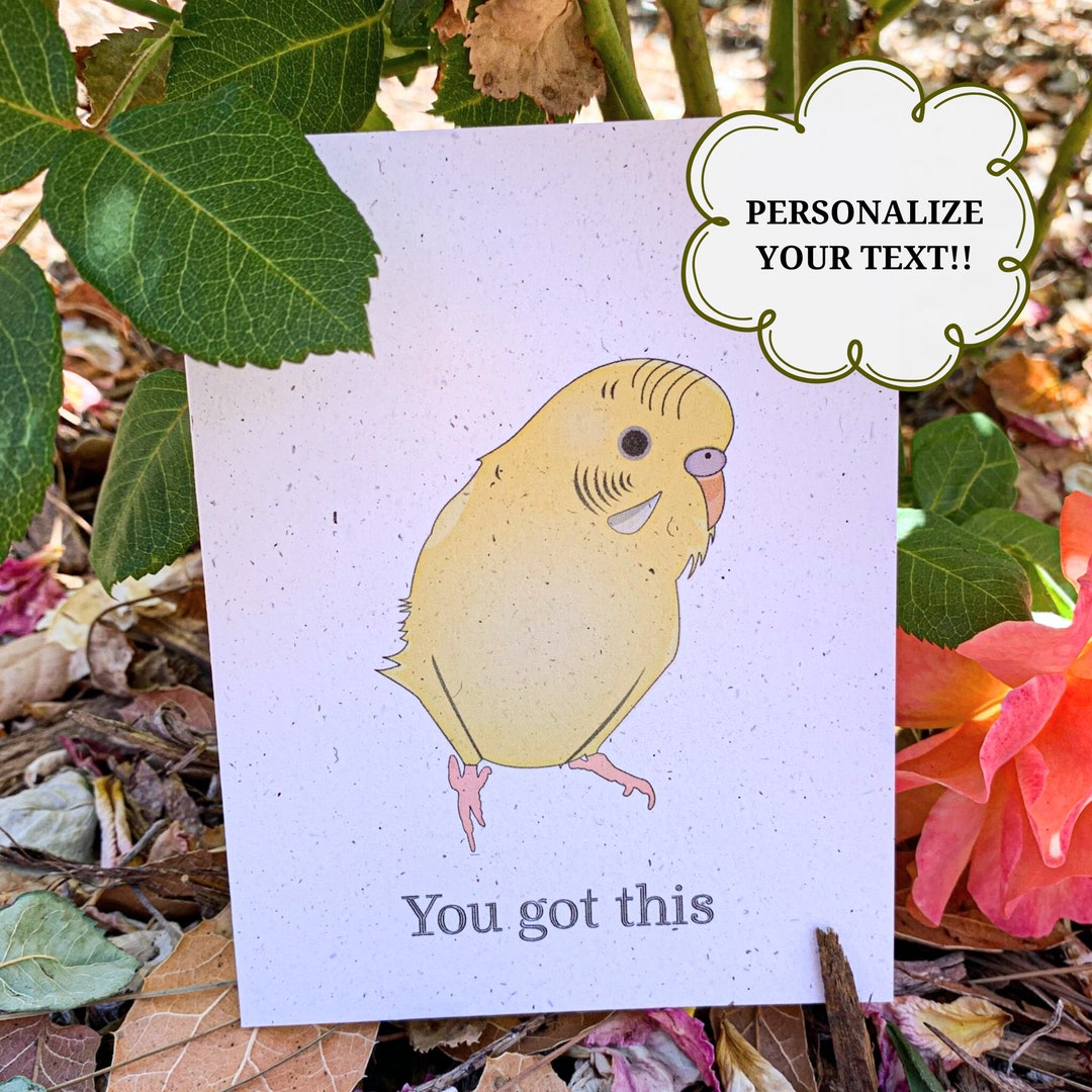 You Got This | Encouragement Cards | Positivity Card | Hemp | Greeting ...