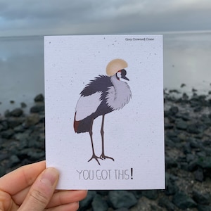 Carte grue couronnée grise, carte de rétablissement, amoureux de la faune, chanvre, naturaliste, cadeau pour les amoureux de la nature, cadeau vétérinaire, carte d'encouragement Vous avez cette carte d'encouragement