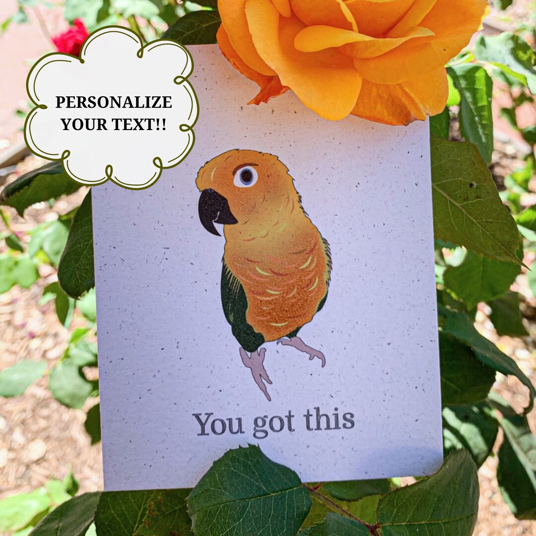 You Got This | Encouragement Cards | Positivity Card | Hemp | Greeting ...