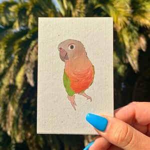 Pineapple Conure Print, Art & Collectibles, Bird Decor, Eco-Friendly, Bird Art, Hemp Paper, Bird Lovers Gift, Conure Art, Parrot Art
