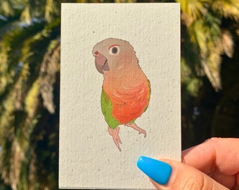 Pineapple Conure Print, Art & Collectibles, Bird Decor, Eco-Friendly, Bird Art, Hemp Paper, Bird Lovers Gift, Conure Art, Parrot Art