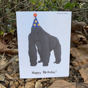 Berggorilla Geburtstagskarte, Wildtierliebhaber, Hanf, Naturforscher, Geschenk für Naturliebhaber