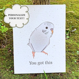 You Got This | Encouragement Cards | Positivity Card | Hemp | Greeting Card | Eco Friendly | Parakeet Card | Customizable | Blank Inside