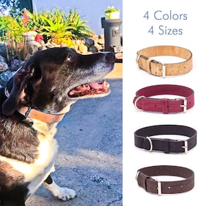 Cork Dog Collar, vegan - Black