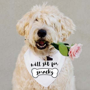 Dog Bandana PNG ~ Sublimation Designs Downloads ~ Will Sit For Snacks PNG ~ Dog Collar ~ Pet Bandana PNG ~ Pet Owner ~ Dog Owner ~ Dog Lover