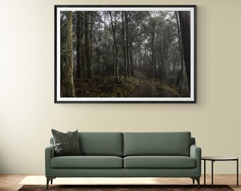 Australian gums | Bushland photo print | Foggy Wall Art | Moody landscape | Alpine Wall Art | High Country