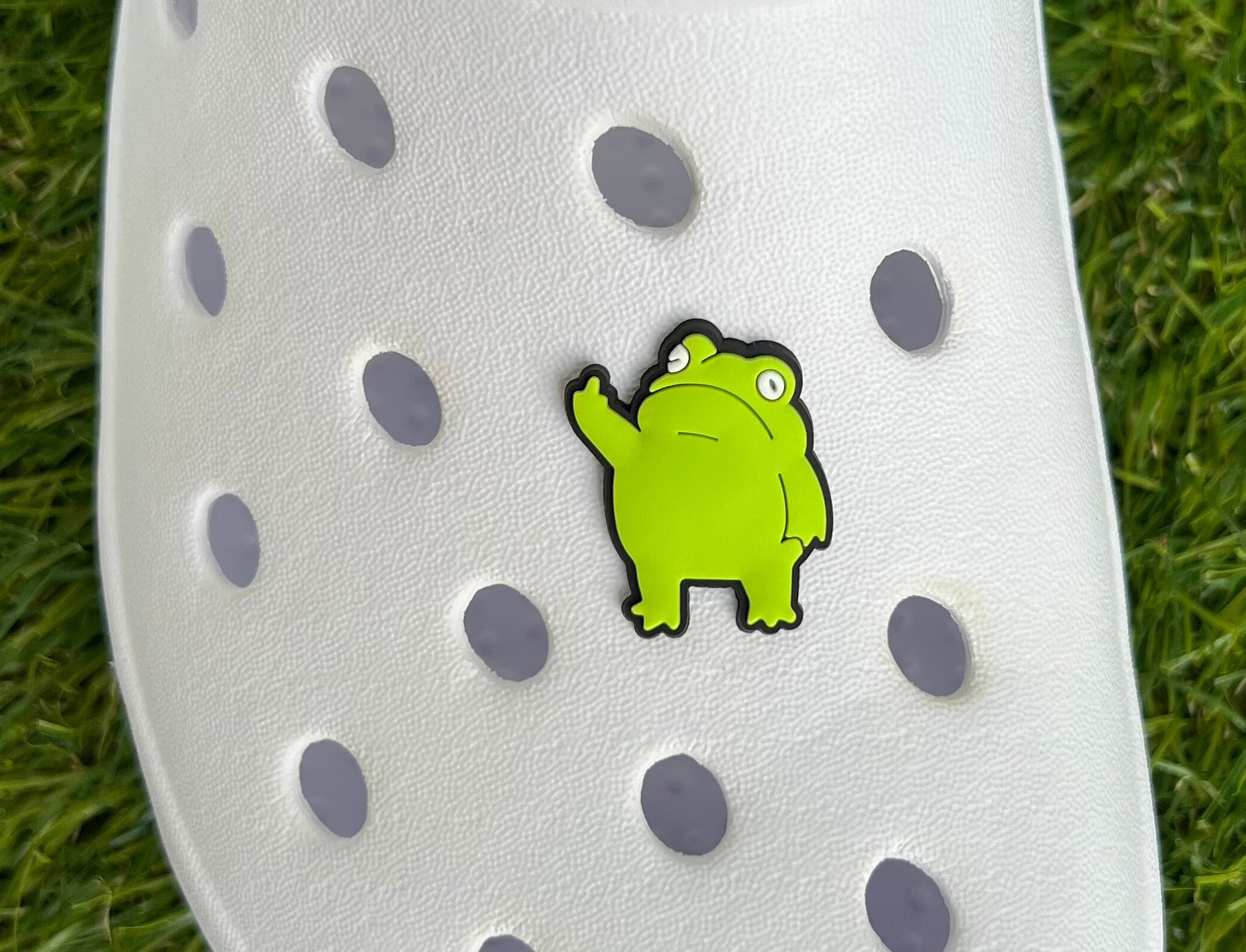 Cute Frog Croc Charms Animal Shoe Charm Frog Charm for - Etsy