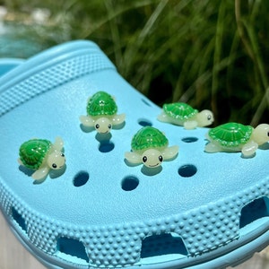 Turtles Croc -  Canada