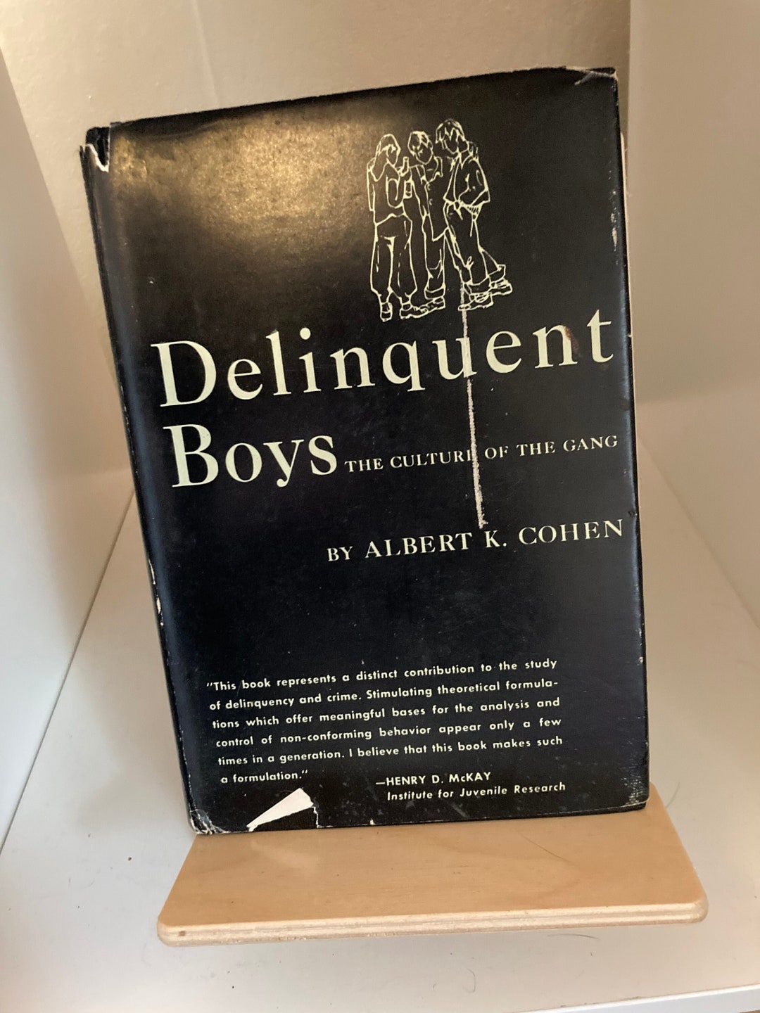 Delinquent Boys the Culture of the Gang by Albert K. Cohen Etsy
