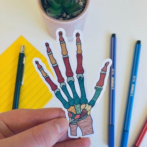 Labelled Skeleton Sticker Die Cut // Medical Students - Etsy