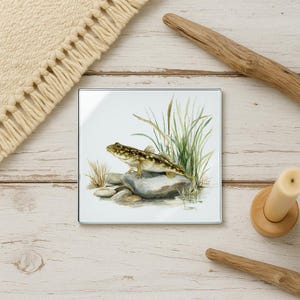 May include: Square glass coaster featuring a detailed illustration of a fish perched on a rock, surrounded by aquatic plants. The fish has a mottled pattern of brown and green. The background is white.