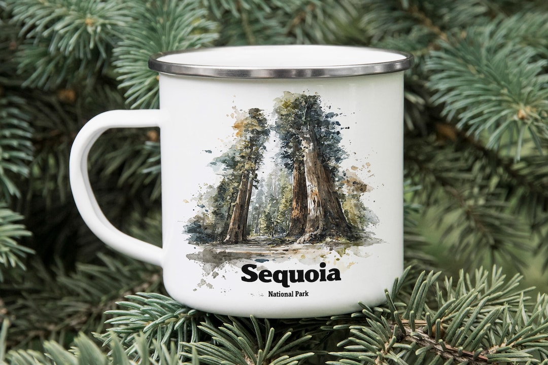 Sequoia National Park Enamel Camping Mug: Giant Tree Forest Scene - Etsy