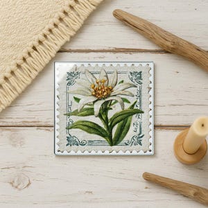 May include: Square coaster featuring a vintage botanical illustration of an edelweiss flower. The white flower with yellow center and green leaves is set against a textured background, framed by a decorative border.