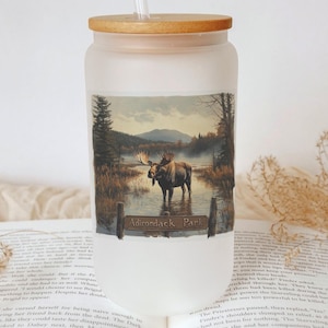 Adirondack Moose Glass Tumbler – Mountain Scenery Wildlife Cup, Nature Lover Gift, Rustic Outdoor Cabin Drinkware