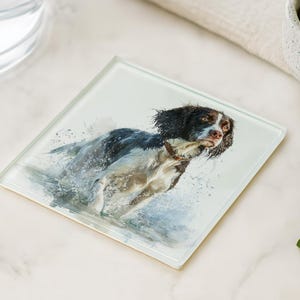 May include: Square glass coaster featuring a watercolor painting of a dog running through water. The dog has black and white fur with brown accents. The coaster is clear with a glossy finish, perfect for protecting surfaces from drink rings.