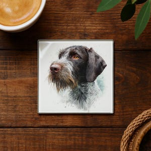 May include: Square coaster featuring a watercolor portrait of a brown and white Wirehaired Pointing Griffon dog. The dog has a long, shaggy beard and alert, amber-colored eyes. The coaster has a silver border and is set against a wooden background.