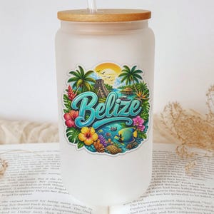 May include: A frosted glass tumbler with a bamboo lid and a clear straw. The front features a colorful sticker with the word Belize in blue script, surrounded by tropical palm trees, hibiscus flowers, a Mayan pyramid, and coral reef fish.