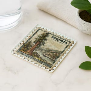 May include: Square glass coaster featuring a vintage-style illustration of a giant sequoia tree and a river scene. The coaster has a postage stamp design with the words "SEQUOIA NATIONAL PARK". The coaster is clear with a slightly textured surface.