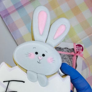Personalized Bunny in an Egg Easter Cookie – Custom Name Easter Treat