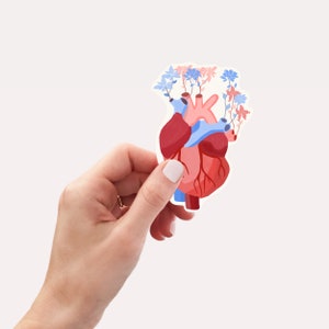 Heart Bouquet Sticker | Nurse Doctor Gift, Anatomical Heart, Floral Pink Blue, Heart Transplant, Medical Student, Med School Badge Gift