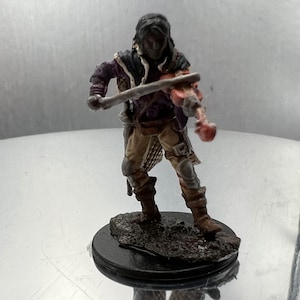 Female Elf Bard Rogue Painted Miniature Dungeons Dragons D&D DND Pathfinder Role Playing Miniatures