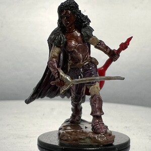 Female Elf Bard Rogue Fighter Painted Miniature Dungeons Dragons D&D DND Pathfinder Role Playing Miniatures
