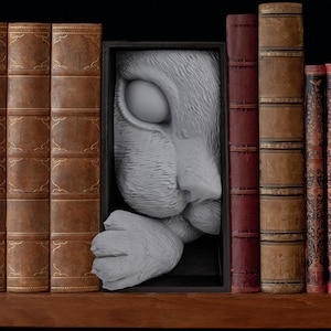 Cat's Curiosity Book Nook - 3D Printed High-quality Plastic