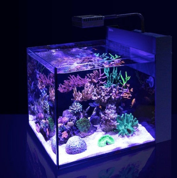 Red Sea Max NanoおよびPeninsula Nano用フィルターアップグレード 
