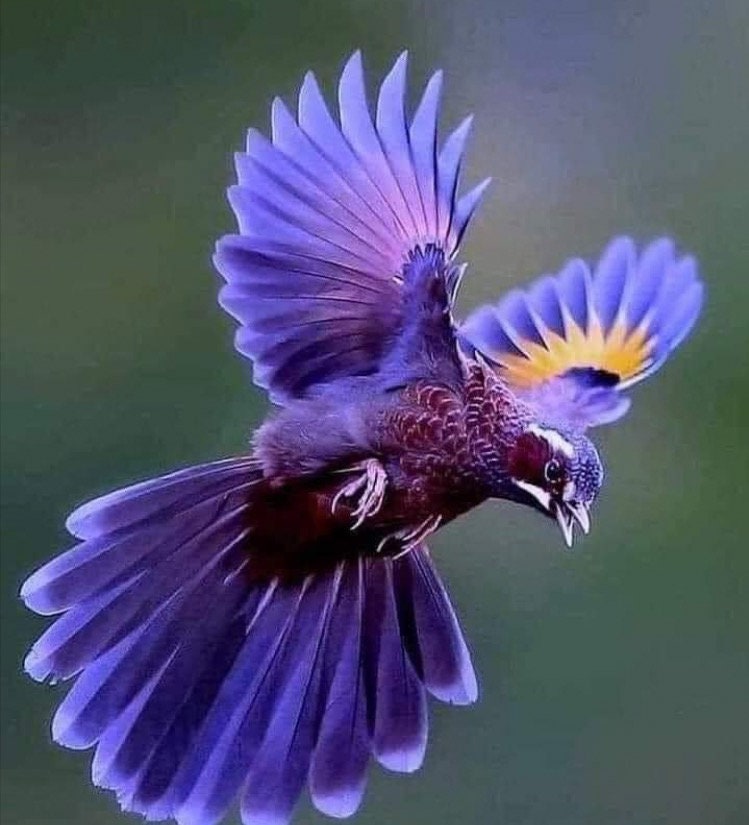 Moyen/Services de Guérison