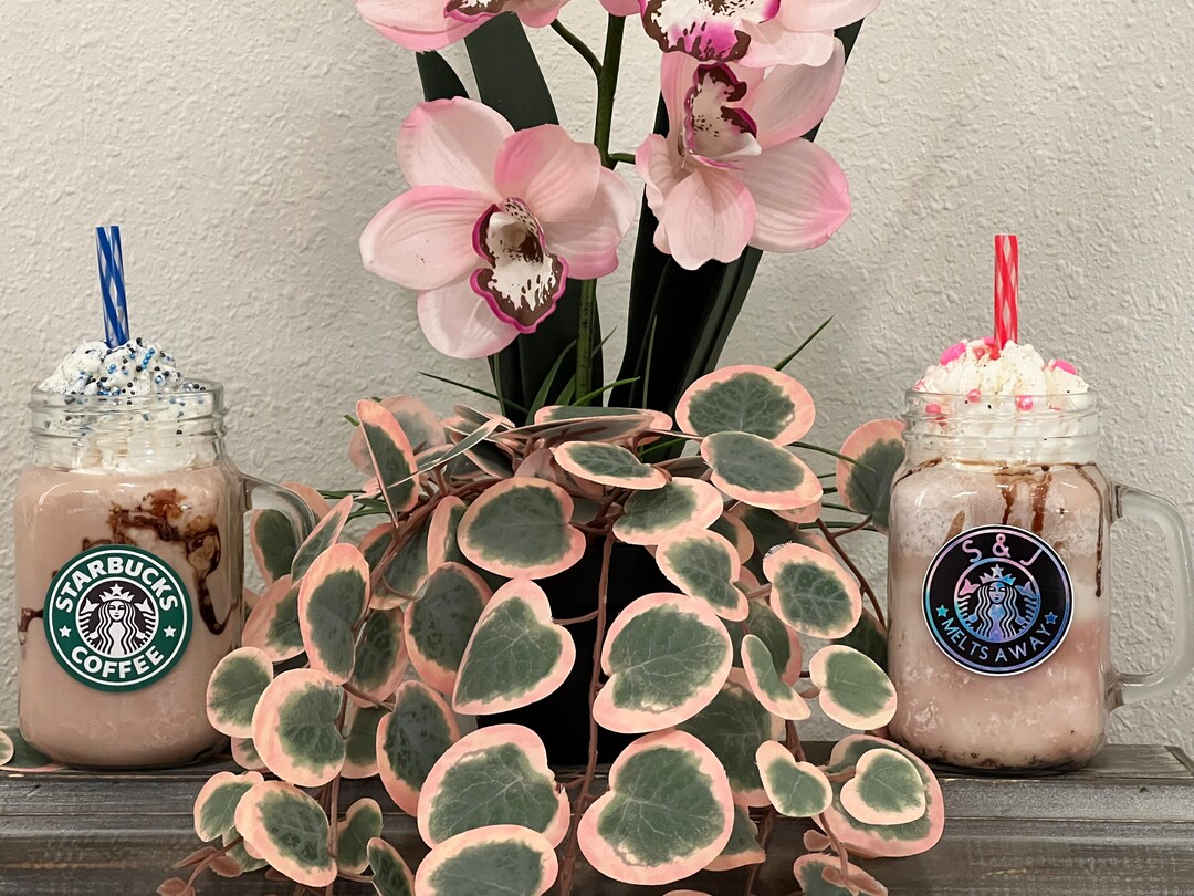 Mason Milkshake Java Collection 30 Oz Etsy