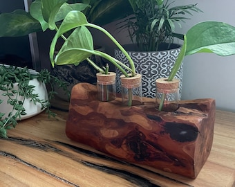 Jarrón de escritorio con estación de propagación de estilo madera natural