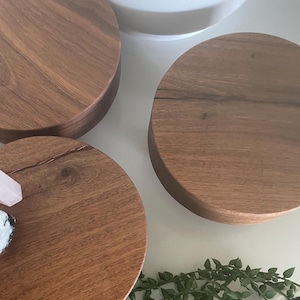 May include: Three round wooden coasters in various sizes, with a natural wood grain finish. The coasters are arranged on a white surface with a green vine plant in the foreground.