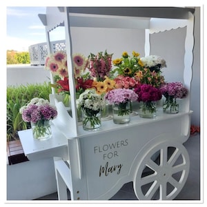 Candy Cart ZU VERKAUFEN