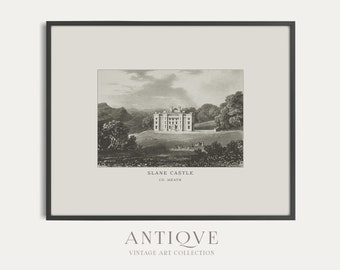 Slane Castle i Boyne Valley, Co. Meath, Irland | Vintagegravyr från 1800 | Antikt traditionellt irländskt tryck | Digital nedladdning | 609