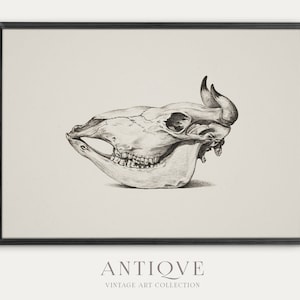 Skull Sketch Print | Dark Academia Wall Art | Printable Download | 498
