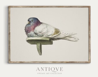 Vintage Bird Sketch | Farmhouse Print | Digital Download | 504