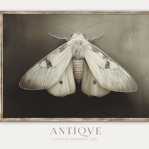 Moth Painting Print | Neutral Insect Print | Light Academia Wall Art | Printable Download | 654