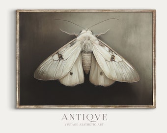 Moth Painting Print | Neutral Insect Print | Light Academia Wall Art | Printable Download | 654