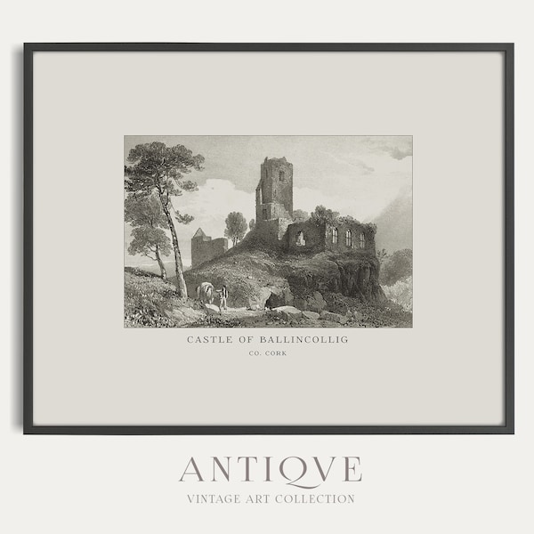 Ballincollig Castle, Co. Cork, Ireland | Vintage Engraving from 1800 | Vintage Irish Decor | Antique Irish Print | Digital Download | 610