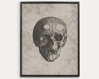 Vintage Skull Sketch | Neutral Halloween Art | Gothic Rustic Print | Digital Download | 978