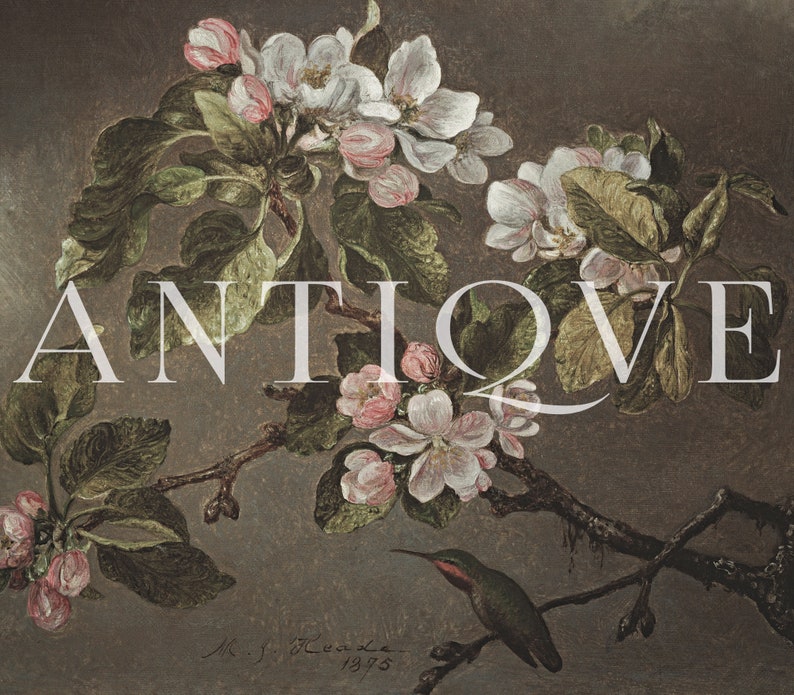 May include: A vintage painting of a blooming apple tree branch with delicate white flowers and green leaves. The painting is titled "Antique" and signed "M.J. Leclere 1975".