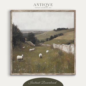 Square Ireland Landscape | Rural Farmhouse Wall Art | Ireland Countryside Print | Digital Download | 2803_SQ