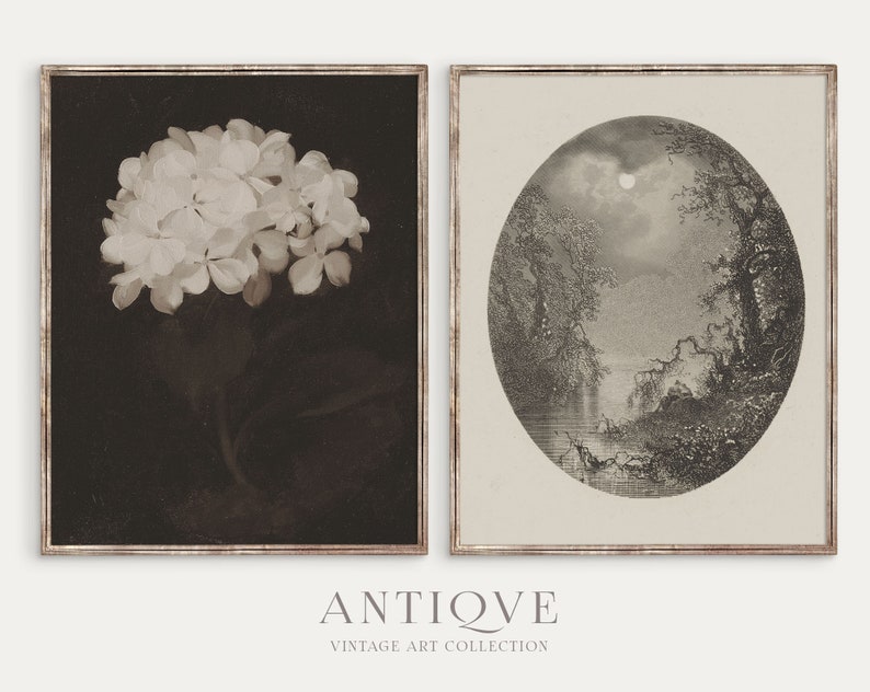 Vintage Dark Academia Gallery Wall | Print Set 9 Prints | Moody Gallery ...