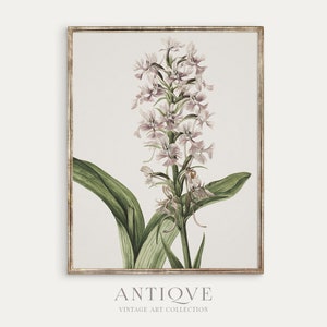 Pink Flowers Print | Botanical Wall Art | Digital Download | 518