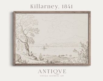Innisfallen Island, Killarney, Co. Kerry, Irlanda / Schizzo d'epoca irlandese del 1841 / Decorazione irlandese neutra del 1800 / Download digitale / 834