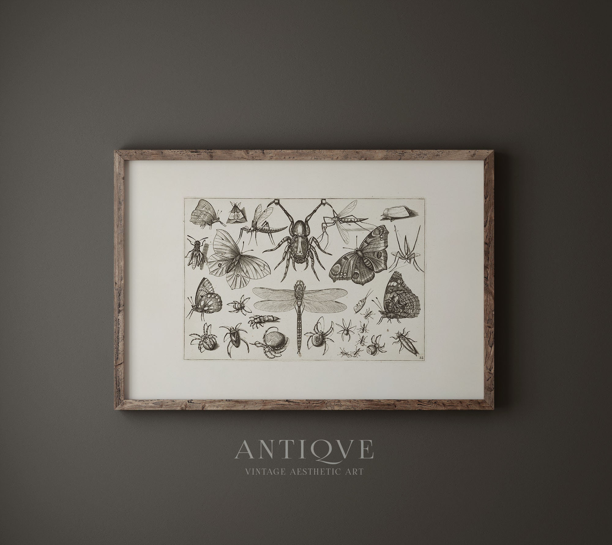 Vintage Dark Academia Gallery Wall | Print Set 9 Prints | Moody Gallery ...
