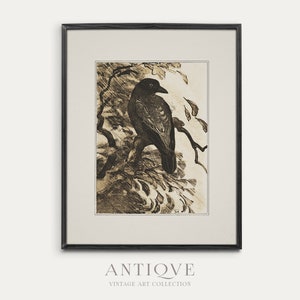 Moody Raven Painting | Dark Academia Wall Art | Printable Download | 499