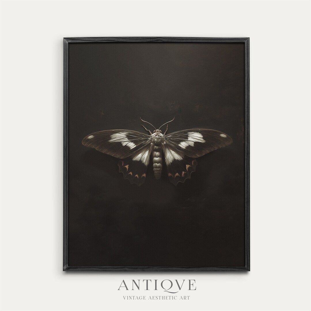 Moth Painting Print | Black Insect Print | Dark Academia Wall Art ...