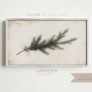 May include: A framed print of a vintage botanical illustration of a pine branch with a single white flower. The print has a light brown background and is framed in a white wood frame. The text "Antique Vintage Aesthetic Art" is printed below the image.