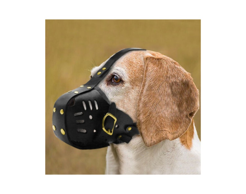 Leather Muzzle Leather Gag Custom Dog Muzzle Dog Mask Etsy
